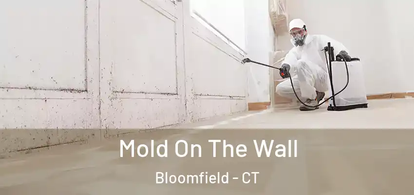  Mold On The Wall Bloomfield - CT