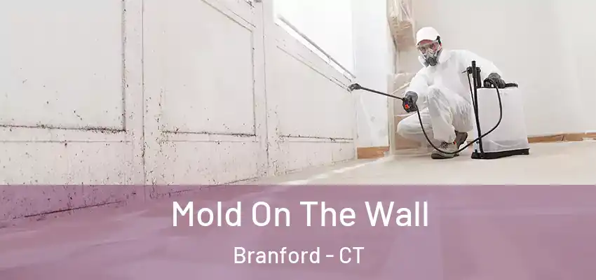  Mold On The Wall Branford - CT