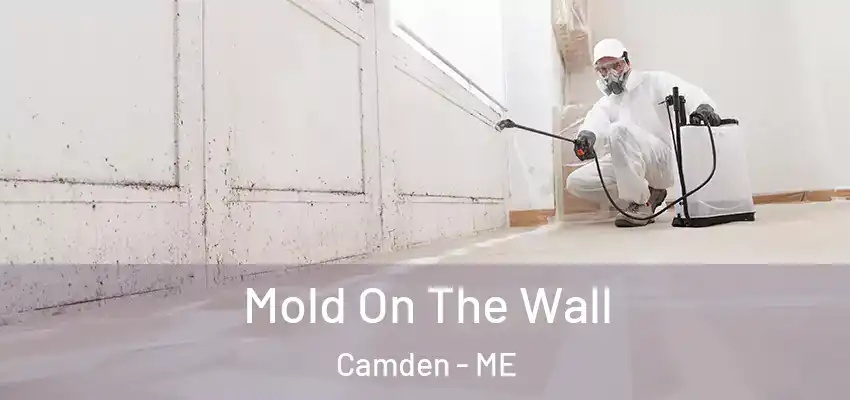 Mold On The Wall Camden - ME