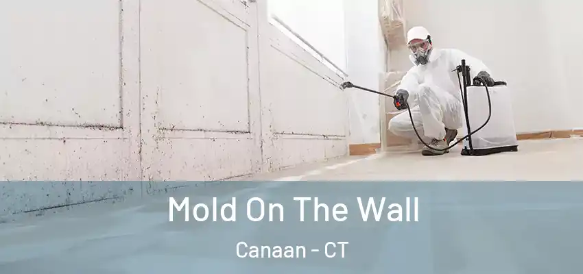 Mold On The Wall Canaan - CT