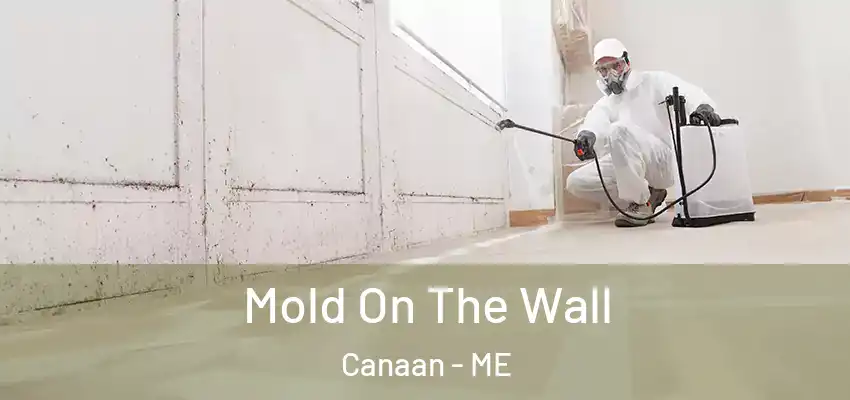  Mold On The Wall Canaan - ME