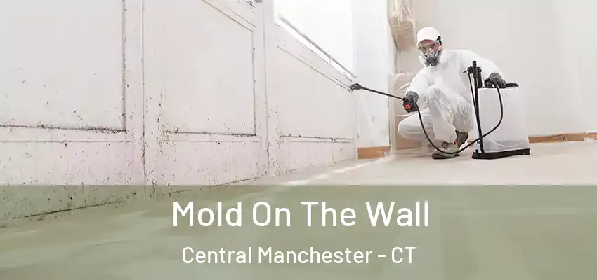 Mold On The Wall Central Manchester - CT