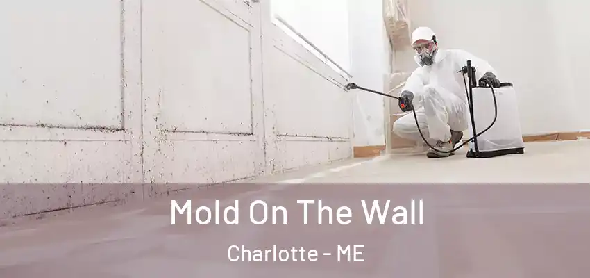  Mold On The Wall Charlotte - ME