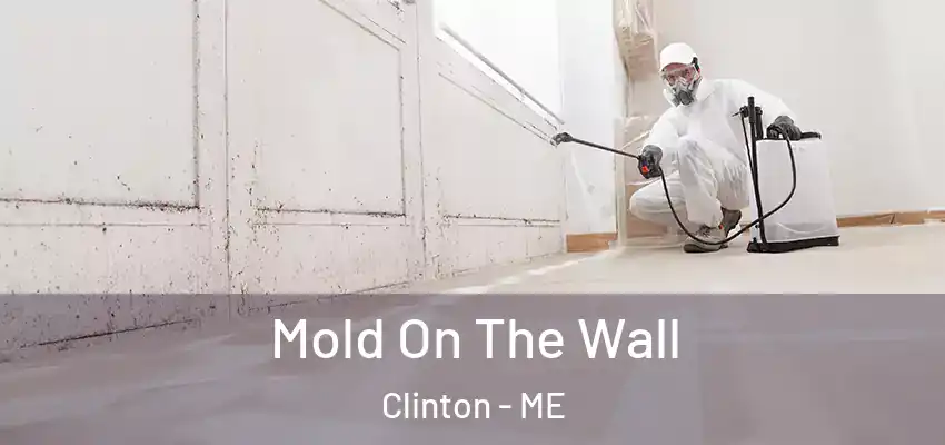 Mold On The Wall Clinton - ME