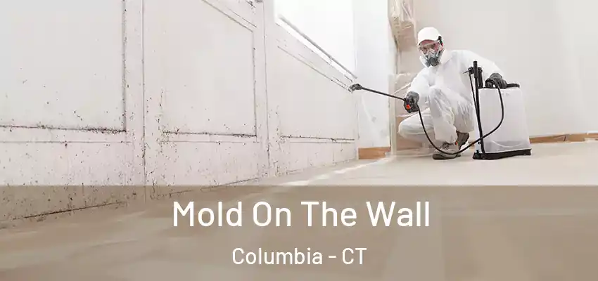Mold On The Wall Columbia - CT