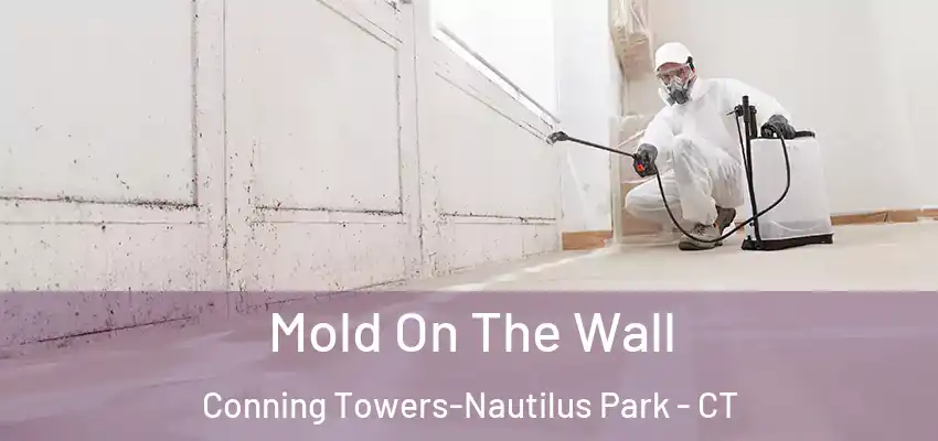 Mold On The Wall Conning Towers-Nautilus Park - CT