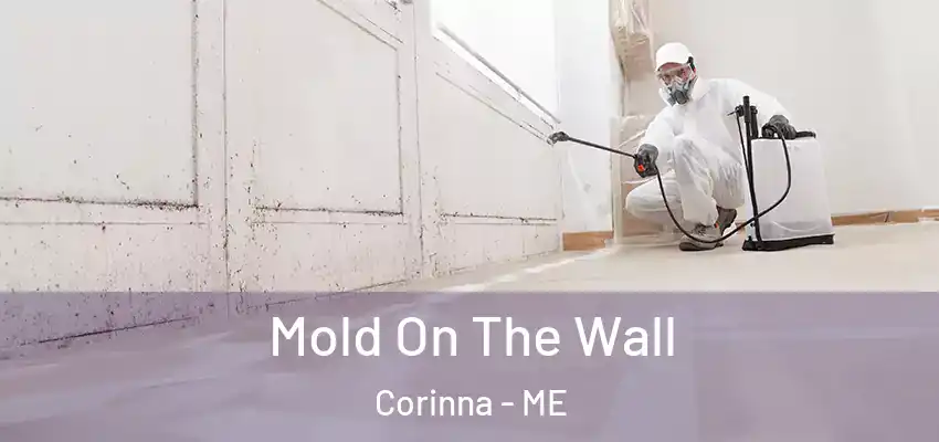 Mold On The Wall Corinna - ME