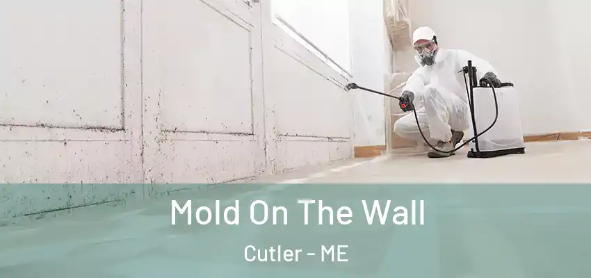 Mold On The Wall Cutler - ME