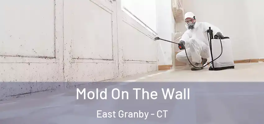  Mold On The Wall East Granby - CT
