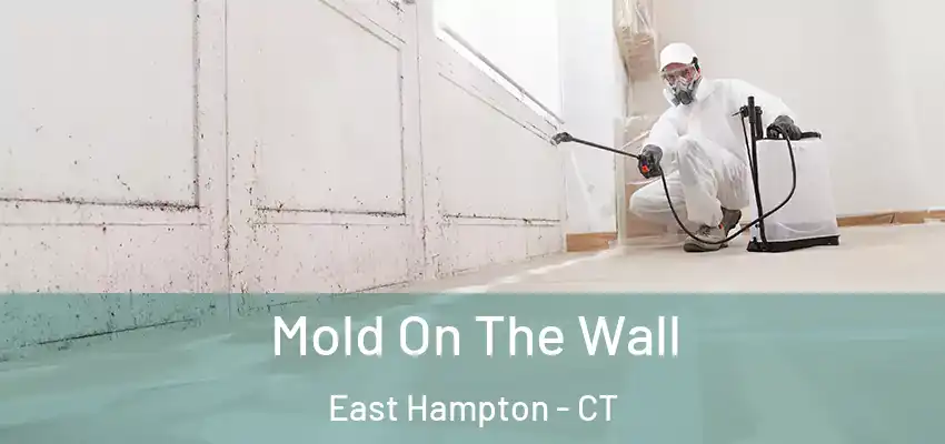Mold On The Wall East Hampton - CT