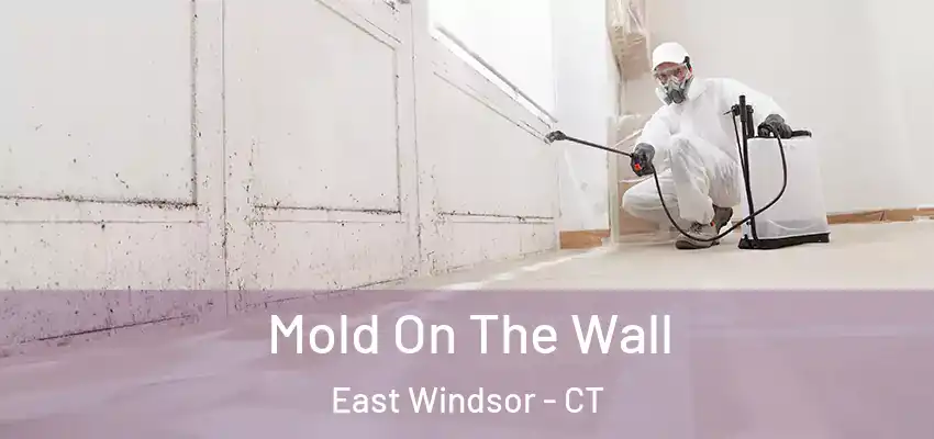  Mold On The Wall East Windsor - CT