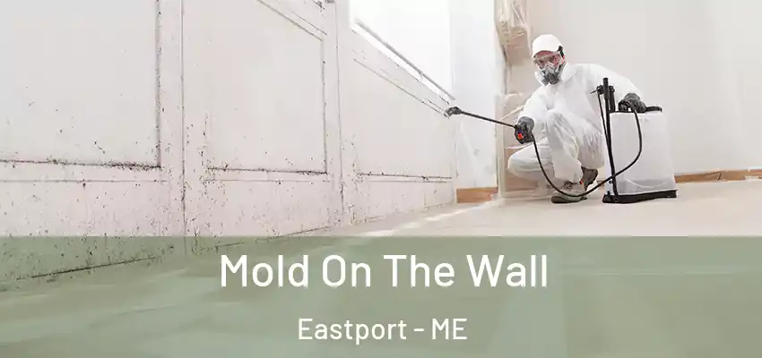  Mold On The Wall Eastport - ME