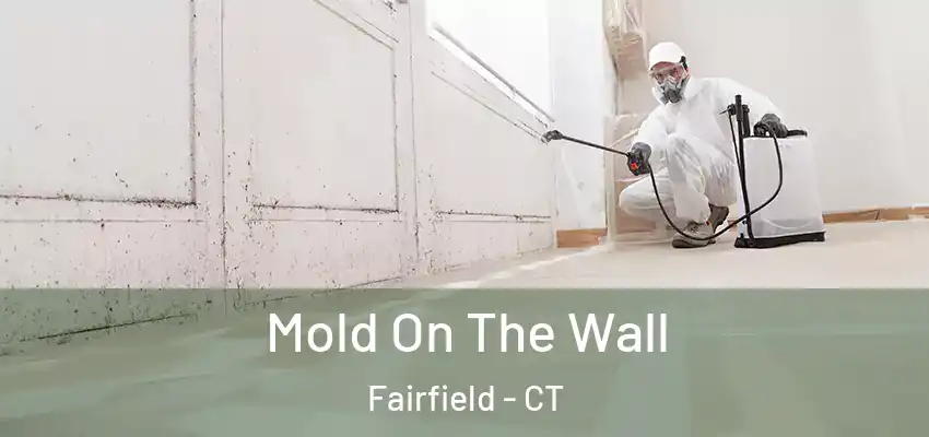 Mold On The Wall Fairfield - CT