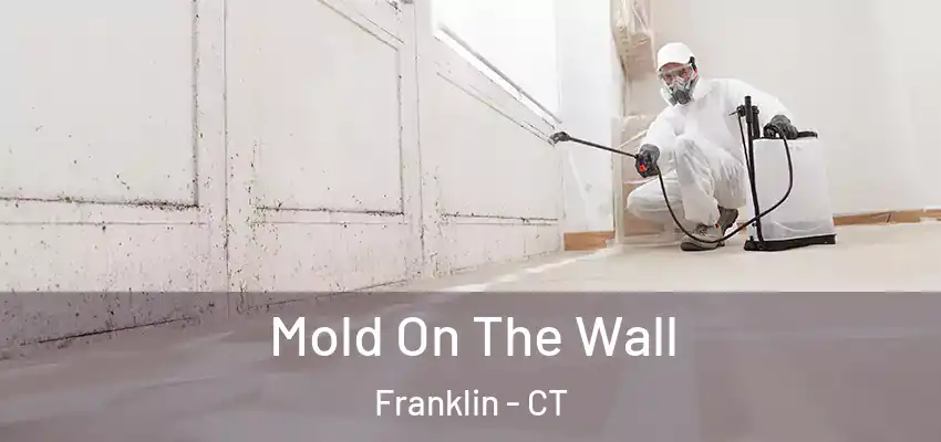 Mold On The Wall Franklin - CT