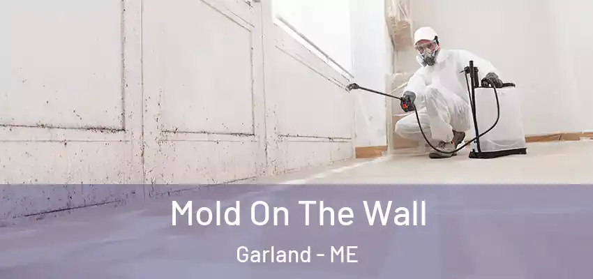 Mold On The Wall Garland - ME