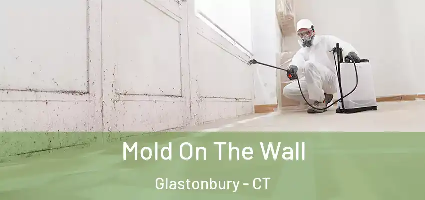  Mold On The Wall Glastonbury - CT