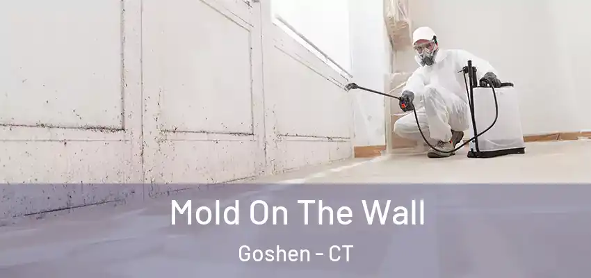 Mold On The Wall Goshen - CT