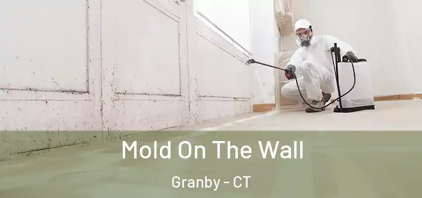 Mold On The Wall Granby - CT