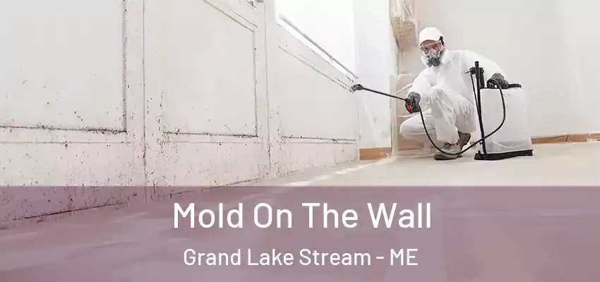  Mold On The Wall Grand Lake Stream - ME