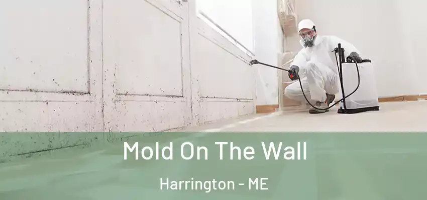  Mold On The Wall Harrington - ME