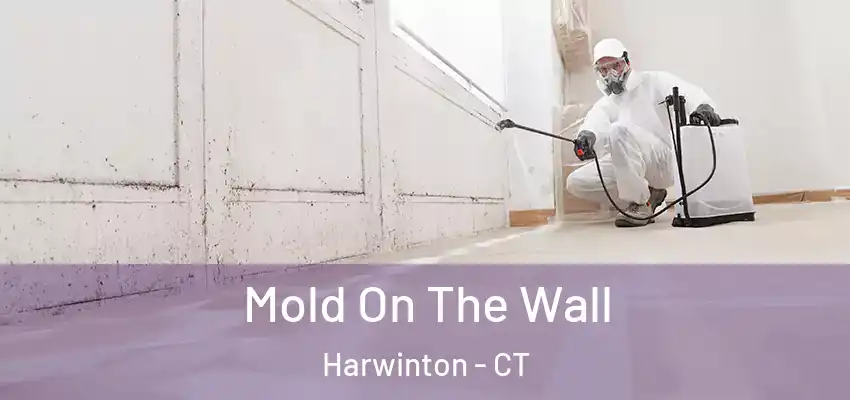 Mold On The Wall Harwinton - CT