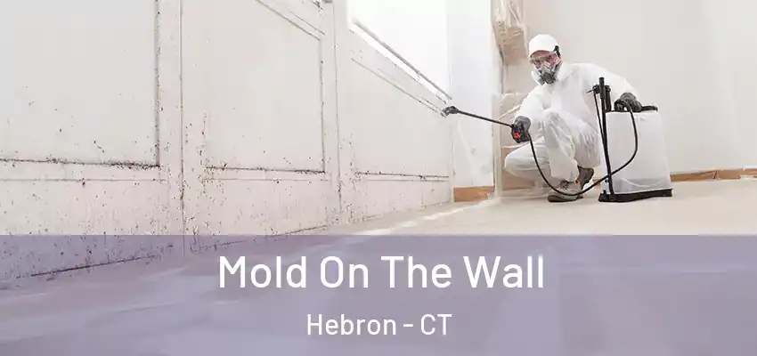  Mold On The Wall Hebron - CT