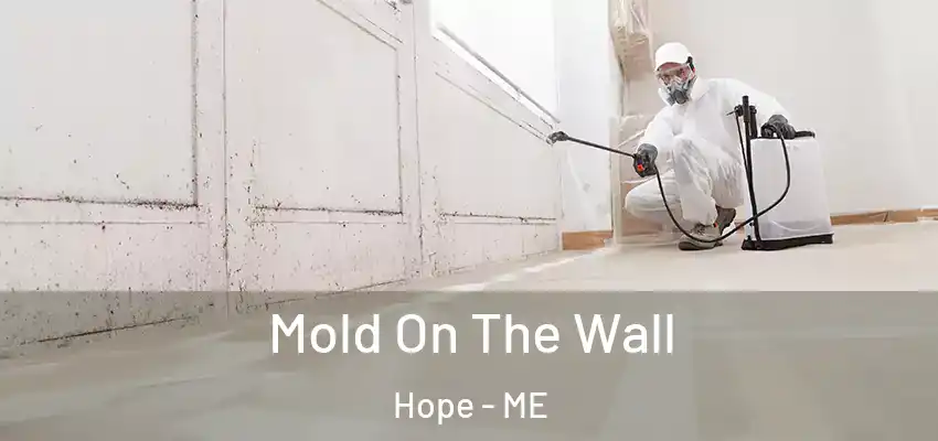  Mold On The Wall Hope - ME