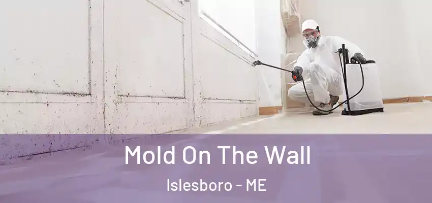 Mold On The Wall Islesboro - ME
