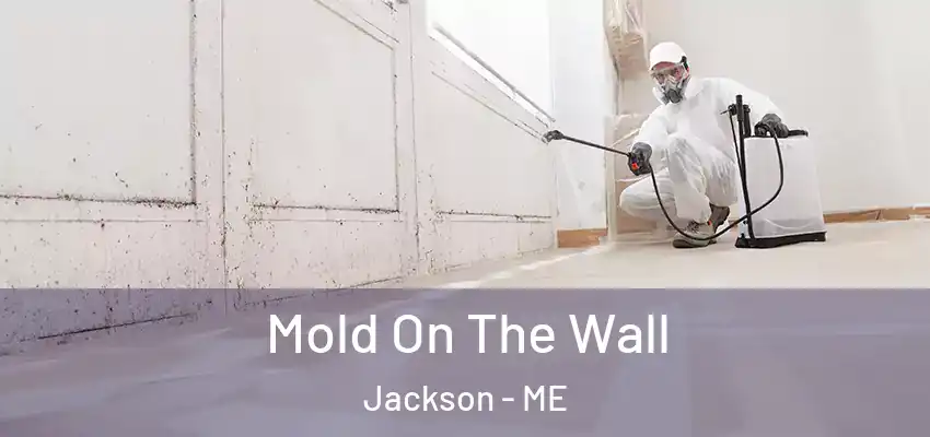 Mold On The Wall Jackson - ME