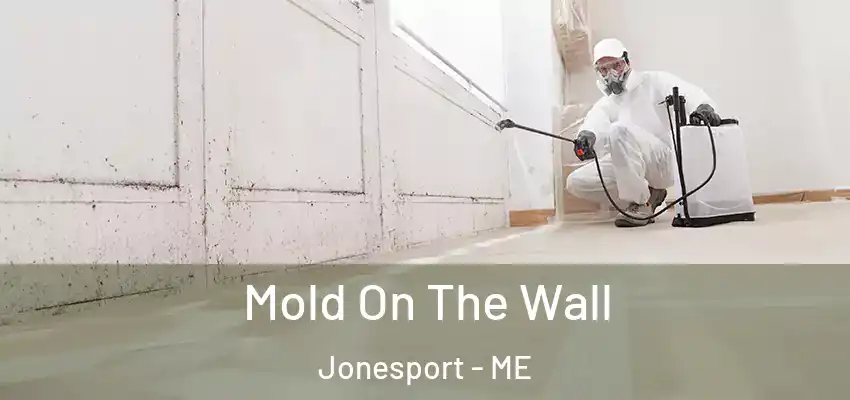 Mold On The Wall Jonesport - ME