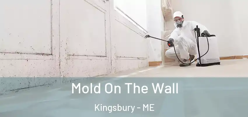  Mold On The Wall Kingsbury - ME