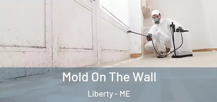  Mold On The Wall Liberty - ME