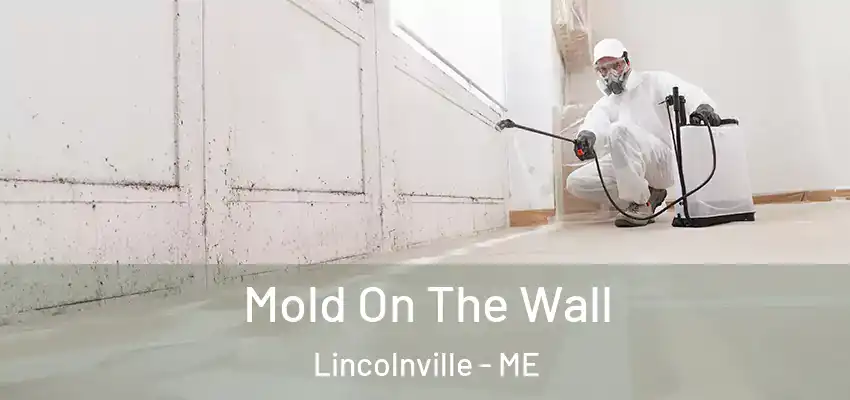  Mold On The Wall Lincolnville - ME