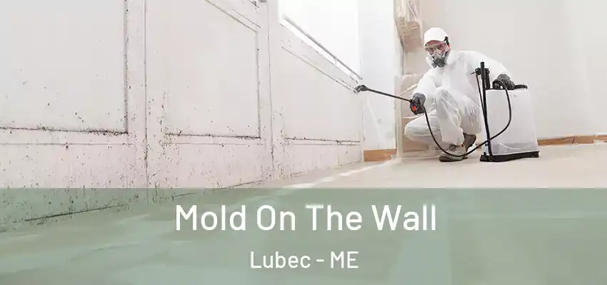  Mold On The Wall Lubec - ME