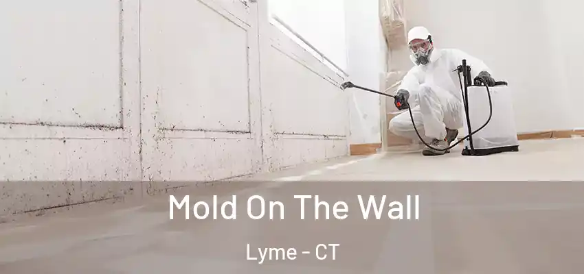 Mold On The Wall Lyme - CT