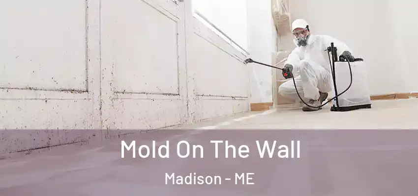 Mold On The Wall Madison - ME