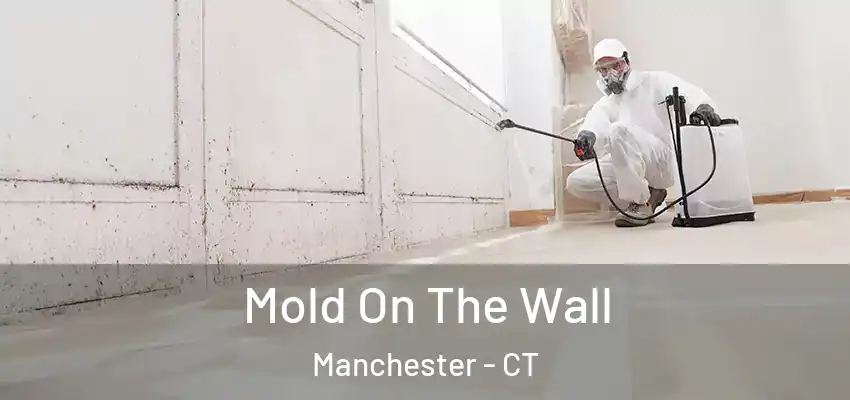 Mold On The Wall Manchester - CT