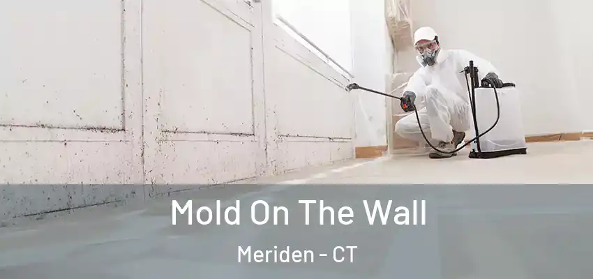  Mold On The Wall Meriden - CT