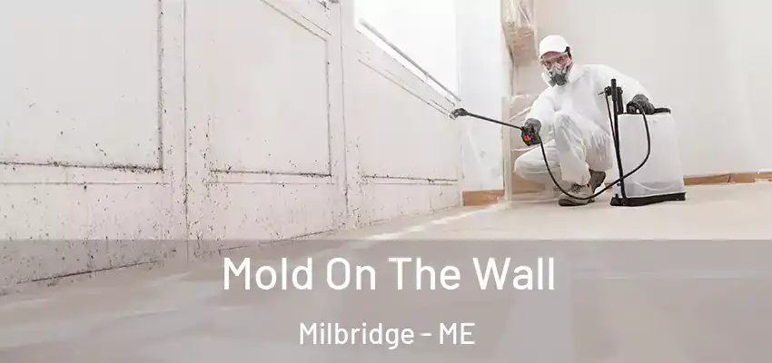  Mold On The Wall Milbridge - ME