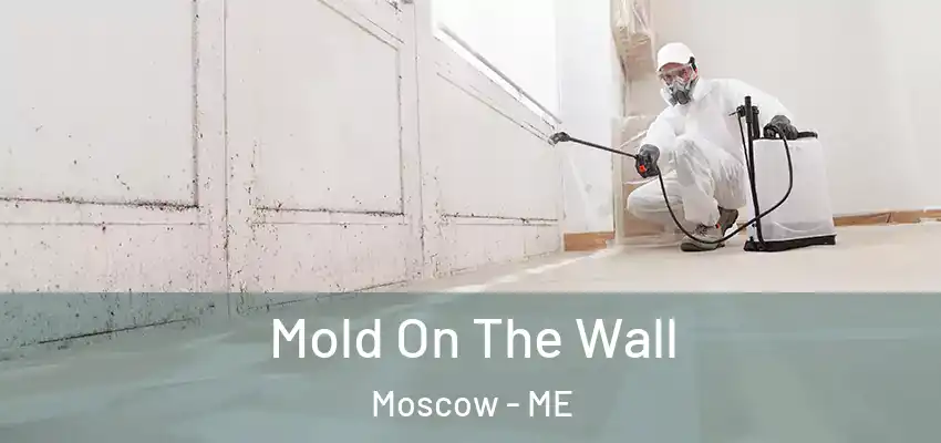  Mold On The Wall Moscow - ME