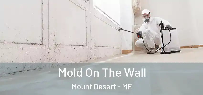  Mold On The Wall Mount Desert - ME