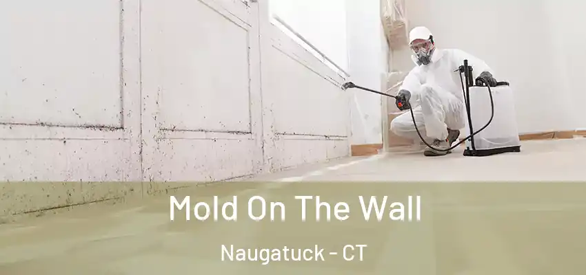 Mold On The Wall Naugatuck - CT