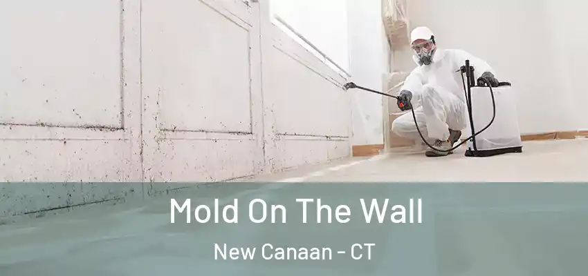 Mold On The Wall New Canaan - CT