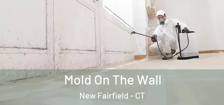  Mold On The Wall New Fairfield - CT