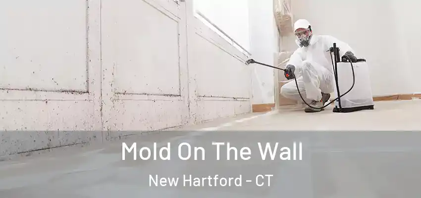 Mold On The Wall New Hartford - CT