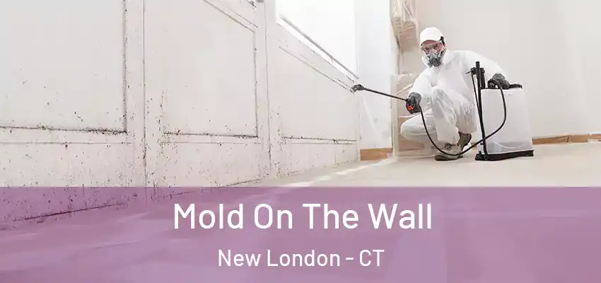 Mold On The Wall New London - CT