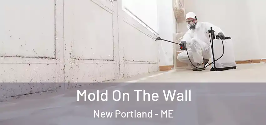  Mold On The Wall New Portland - ME