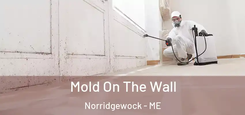  Mold On The Wall Norridgewock - ME