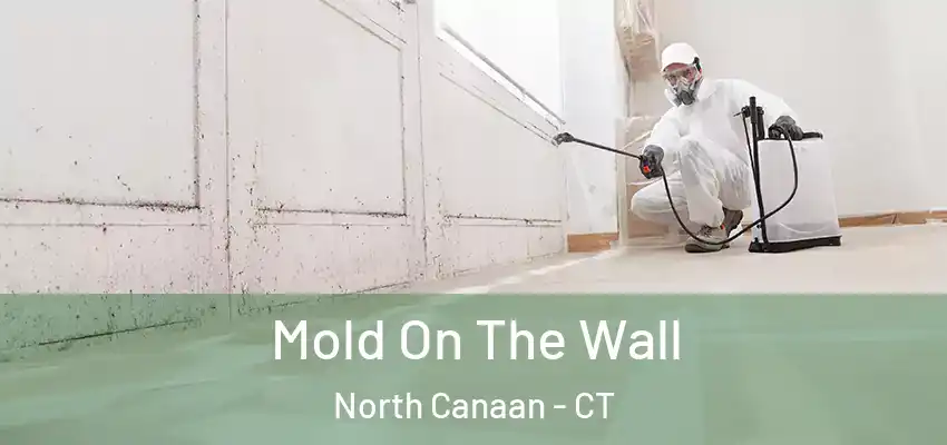  Mold On The Wall North Canaan - CT