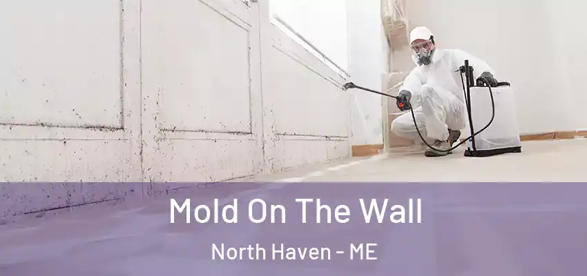  Mold On The Wall North Haven - ME